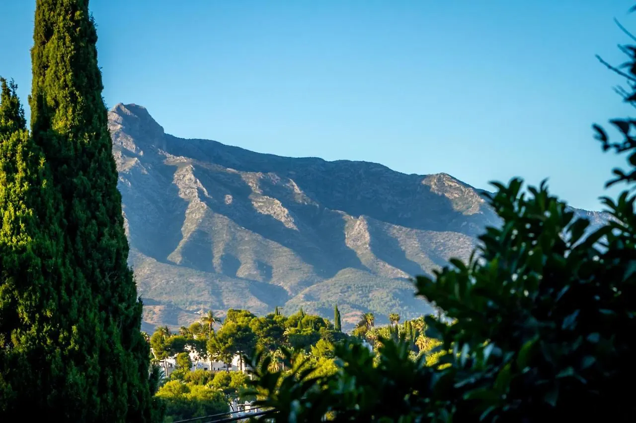 Ceibo Centro Plaza Banús Suite Apartment Marbella